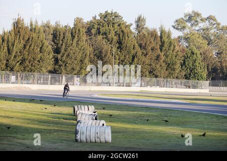 Construction des chenilles. Visite du circuit Autodromo Hermanos Rodriguez, Mexico, Mexique. Jeudi 22 janvier 2015. Banque D'Images