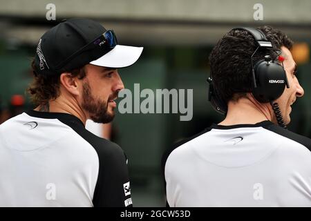 Fernando Alonso (ESP) McLaren avec Andrea Stella (ITA) McLaren Race Engineer. Grand Prix de Malaisie, jeudi 26 mars 2015. Sepang, Kuala Lumpur, Malaisie. Banque D'Images