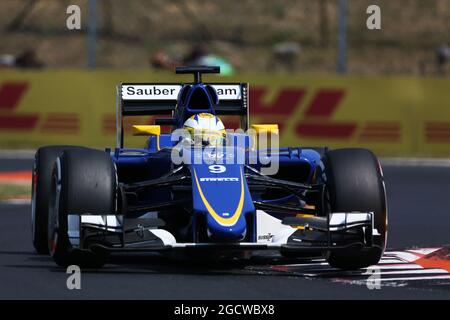 Marcus Ericsson (SWE) Sauber C34. Grand Prix de Hongrie, samedi 25 juillet 2015. Budapest, Hongrie. Banque D'Images