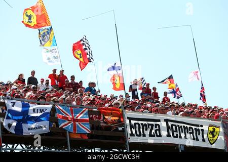 Ventilateurs et drapeaux. Grand Prix de Hongrie, dimanche 26 juillet 2015. Budapest, Hongrie. Banque D'Images