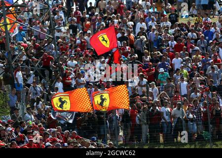 Les fans et drapeaux Ferrari. Grand Prix de Hongrie, dimanche 26 juillet 2015. Budapest, Hongrie. Banque D'Images