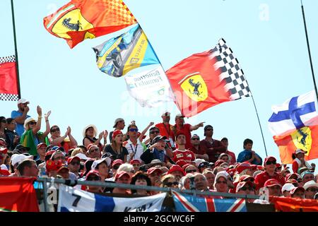 Ventilateurs et drapeaux. Grand Prix de Hongrie, dimanche 26 juillet 2015. Budapest, Hongrie. Banque D'Images