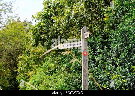 Panneau en bois indiquant North Downs Way sur le Surrey Guildford, Angleterre, Albury Downs Banque D'Images