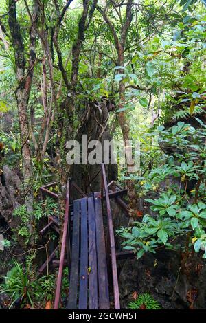 Sentier de randonnée de la forêt tropicale sur l'île de Palawan, Philippines. Forêt tropicale de karst. Banque D'Images