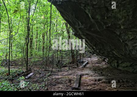 Sentier de randonnée dans la forêt tropicale de l'île de Palawan, Philippines. Forêt tropicale de karst jungle. Banque D'Images