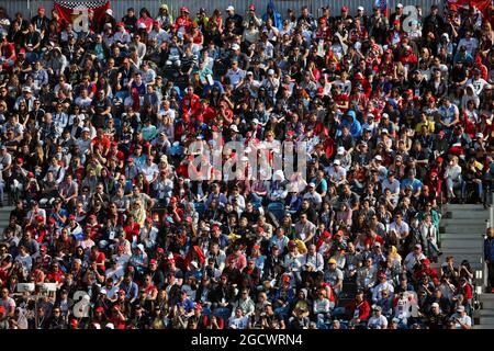 Fans dans la tribune. Grand Prix de Russie, dimanche 1er mai 2016. Sotchi Autodrom, Sotchi, Russie. Banque D'Images