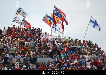 Fans et drapeaux finlandais. Grand Prix de Hongrie, dimanche 24 juillet 2016. Budapest, Hongrie. Banque D'Images