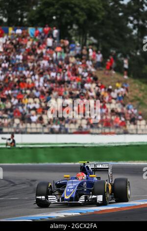 Felipe Nasr (BRA) Sauber C35. Grand Prix d'Allemagne, dimanche 31 juillet 2016. Hockenheim, Allemagne. Banque D'Images