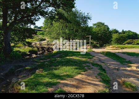 Les sentiers se rencontrent à un pont en bois étroit traversant Burbage Brook, dans la gorge de Padley, dans le Derbyshire Banque D'Images