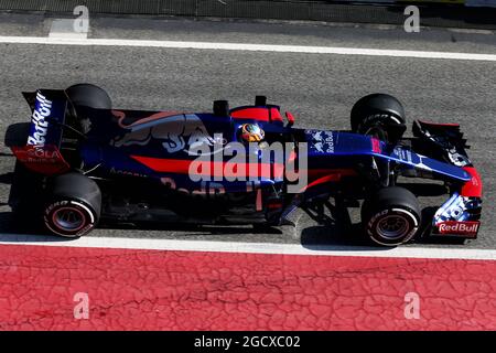 Carlos Sainz Jr (ESP) Scuderia Toro Rosso STR12. Banque D'Images