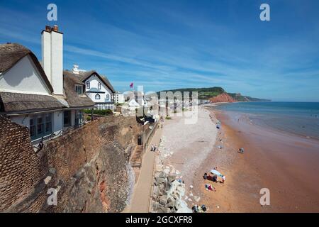 Vue sur la plage de Sidmouth et la station balnéaire de Connaught Gardens, Sidmouth, Jurassic Coast, Devon, Angleterre, Royaume-Uni, Europe Banque D'Images