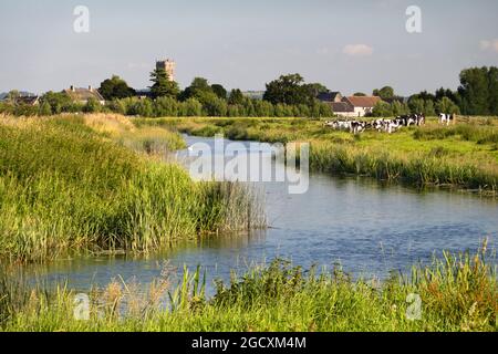 River Parrett et Muchelney Abbey, Langport, Somerset, Angleterre, Royaume-Uni, Europe Banque D'Images
