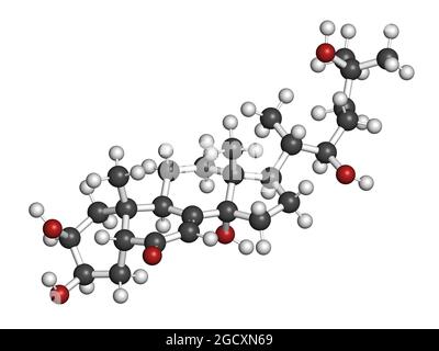 Ecdysone insecte moulante prohormone. Rendu 3D. Banque D'Images