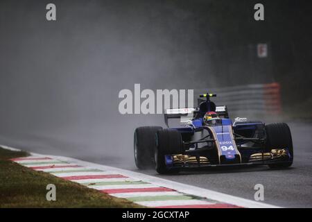 Pascal Wehrlein (GER) Sauber C36. Banque D'Images