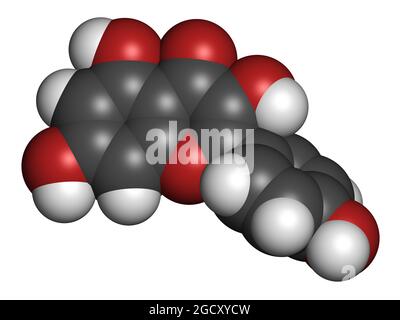Molécule antioxydante de kaempferol. Rendu 3D. Banque D'Images