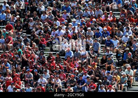 Fans dans la tribune. Grand Prix du Canada, samedi 9 juin 2018. Montréal, Canada. Banque D'Images