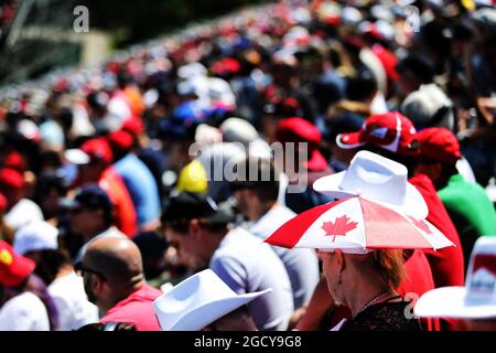 Fans dans la tribune. Grand Prix du Canada, samedi 9 juin 2018. Montréal, Canada. Banque D'Images