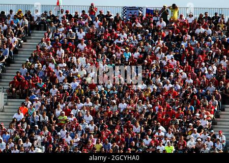 Fans dans la tribune. Grand Prix de Russie, dimanche 30 septembre 2018. Sotchi Autodrom, Sotchi, Russie. Banque D'Images