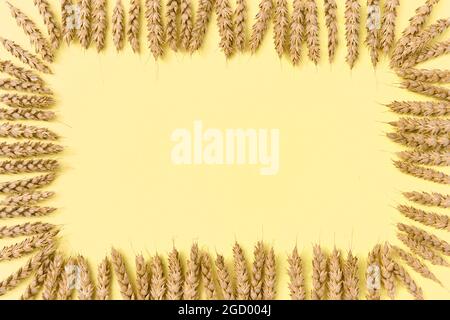 Épillets de blé autour du périmètre sur fond jaune avec place pour le texte.Pose à plat. Banque D'Images