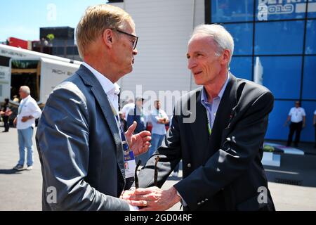 (De gauche à droite): ARI Vatanen (fin) ancien champion du monde de rallye avec Jean-Dominique Senard (FRA) Président Renault. Grand Prix de France, samedi 22 juin 2019. Paul Ricard, France. Banque D'Images