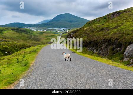 La route de Rodel à Leverburgh sur l'île de Harris, Outer Hebrides, Écosse, Royaume-Uni Banque D'Images