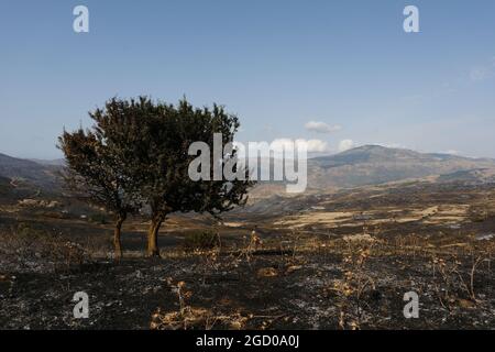 Vaste arson près de la ville de Gangi dans la province de Palerme en Sicile. De nombreuses cultures de champs agricoles et de bois brûlé, de voitures d'agriculteurs et même d'animaux de reproduction brûlés par les flammes. Banque D'Images