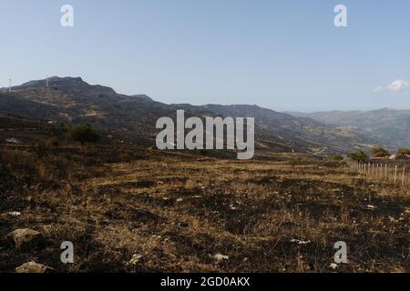 Vaste arson près de la ville de Gangi dans la province de Palerme en Sicile. De nombreuses cultures de champs agricoles et de bois brûlé, de voitures d'agriculteurs et même d'animaux de reproduction brûlés par les flammes. Banque D'Images