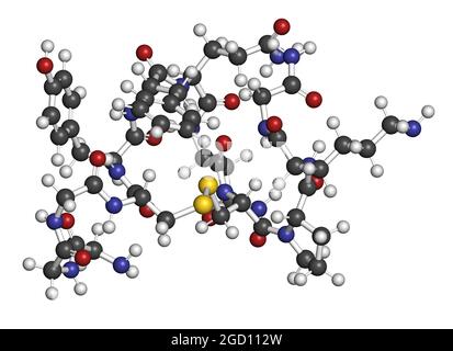 Molécule de terlipressine. Rendu 3D. Banque D'Images