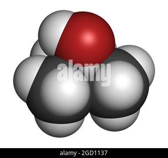 molécule de solvant d'alcool tert-butylique (tert-butanol). Rendu 3D. Banque D'Images