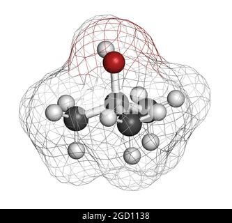 molécule de solvant d'alcool tert-butylique (tert-butanol). Rendu 3D. Banque D'Images