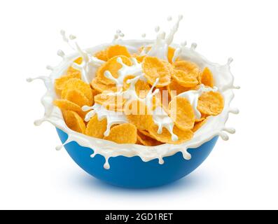 Flocons de maïs avec éclaboussures de lait isolées sur fond blanc Banque D'Images