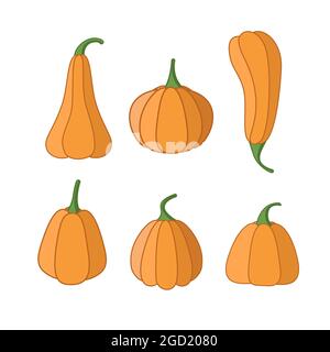 Un ensemble de citrouilles à dessin animé. Citrouilles de différentes formes, illustration vectorielle de la récolte de légumes d'automne Banque D'Images