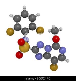 Molécule d'herbicide de florasulam. Rendu 3D. Banque D'Images