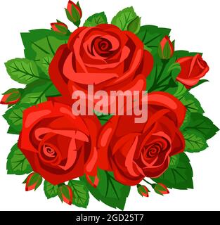 Bouquet de roses rouges avec boutons isolés sur fond blanc Illustration de Vecteur