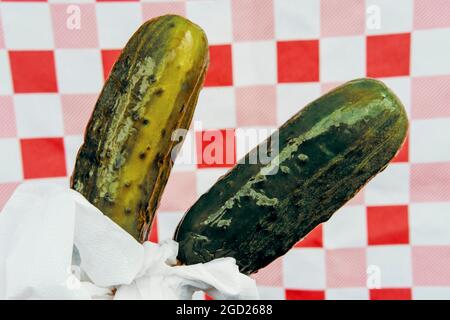 Manger un gros pickle à moitié aigre sur le bâton Banque D'Images