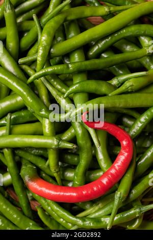 Un piment Pusa Jwala rouge mûr dans un bol rempli de piments verts. Banque D'Images