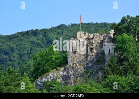 Sparbach, Basse-Autriche, Autriche. Parc naturel de Sparbach. Les ruines de Johannstein Banque D'Images