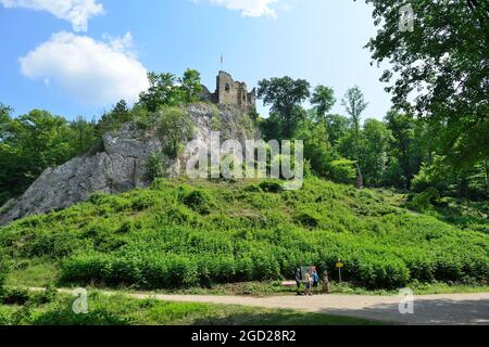 Sparbach, Basse-Autriche, Autriche. Parc naturel de Sparbach. Les ruines de Johannstein Banque D'Images