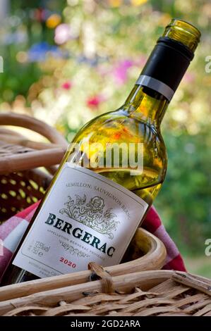 Bouteille de vin blanc Bergerac et étiquette 2020 dans un panier pique-nique en plein air ensoleillé jardin floral d'été France française semi-lion Sauvignon blanc Banque D'Images