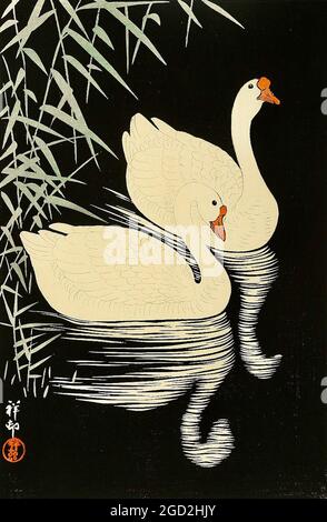 Ohara Koson œuvre intitulée Bernaches chinoises natation par Reeds Banque D'Images