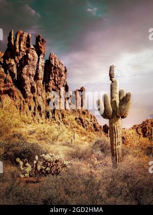 Un saguaro cactus dans le haut désert paysage de la Superstition Mountains, Arizona. Banque D'Images