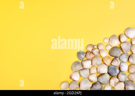 Coquillages sur fond jaune vif, concept d'été, espace copie. Banque D'Images