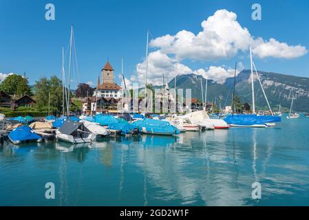 Géographie / Voyage, Suisse, port avec le château de Spiez au lac Thun, Spiez, Oberland bernois, DROITS-SUPPLÉMENTAIRES-AUTORISATION-INFO-NON-DISPONIBLE Banque D'Images