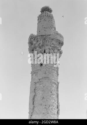 (Tour invisible) le nid de Stork sur un ancien minaret à Kifel ou moderne Kifl Irak ca. 1932 Banque D'Images