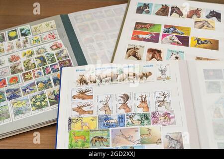 Albums avec le thème des timbres-poste flore et faune Banque D'Images