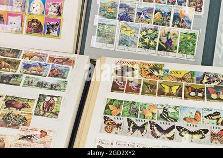 Albums avec le thème des timbres-poste flore et faune Banque D'Images