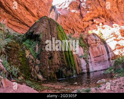 Ribbon Falls couvert de mousse, parc national du Grand Canyon, Arizona, États-Unis Banque D'Images