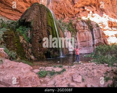 Ribbon Falls couvert de mousse, parc national du Grand Canyon, Arizona, États-Unis Banque D'Images