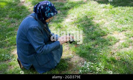 Femme musulmane senior avec un appareil photo prenant une photo de fleur dans la prairie. Concept de femme âgée utilisant une technologie de haut et de caméra Banque D'Images