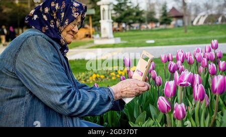 Femme musulmane senior prenant une photo de fleurs avec son smartphone. Vieille femme utilisant le concept de photographie mobile. Banque D'Images